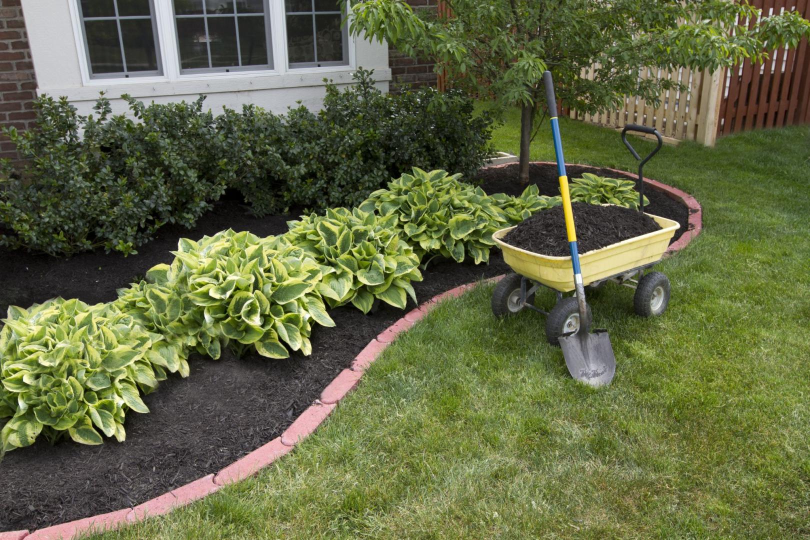 Entretien de jardin