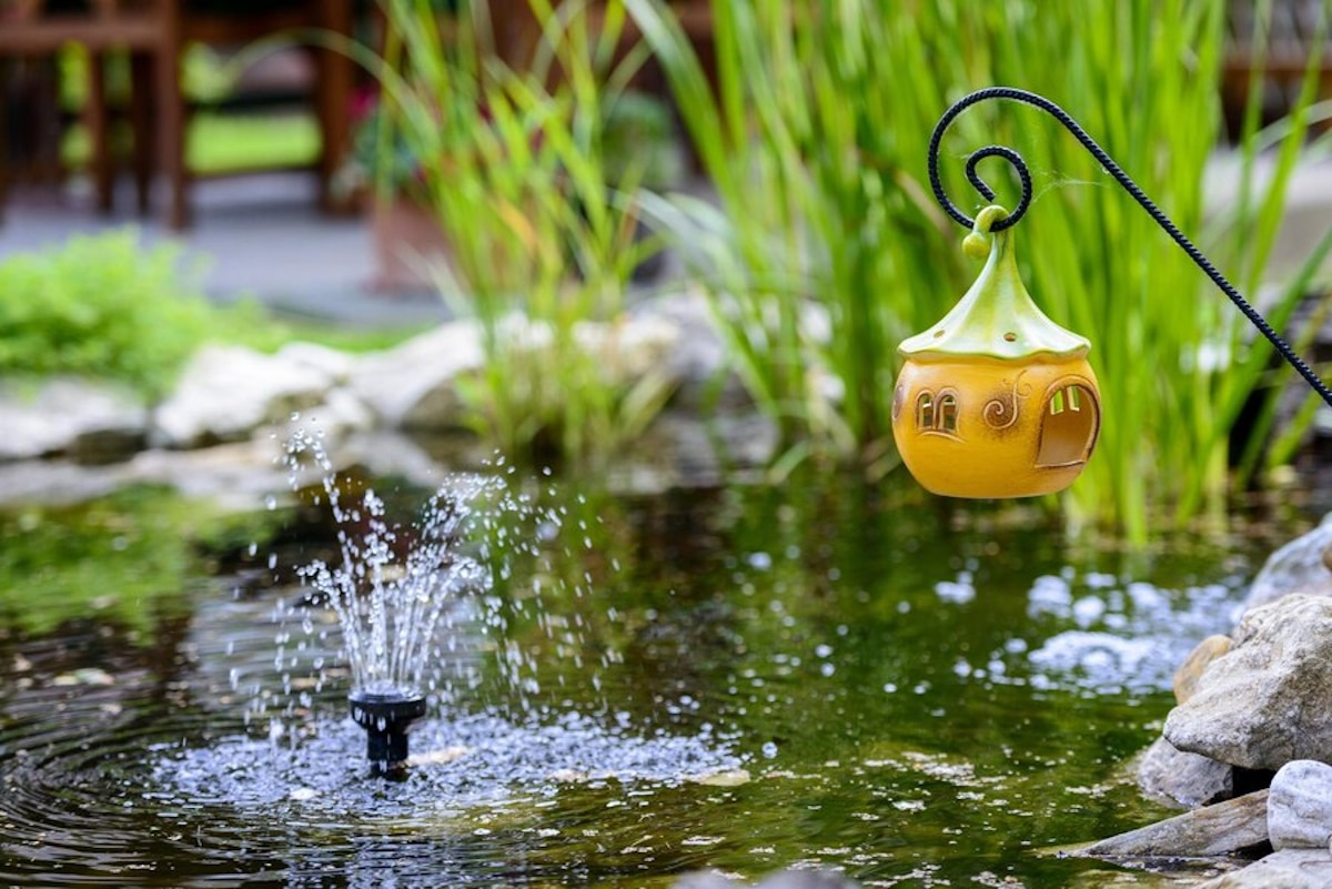 eau dans jardin