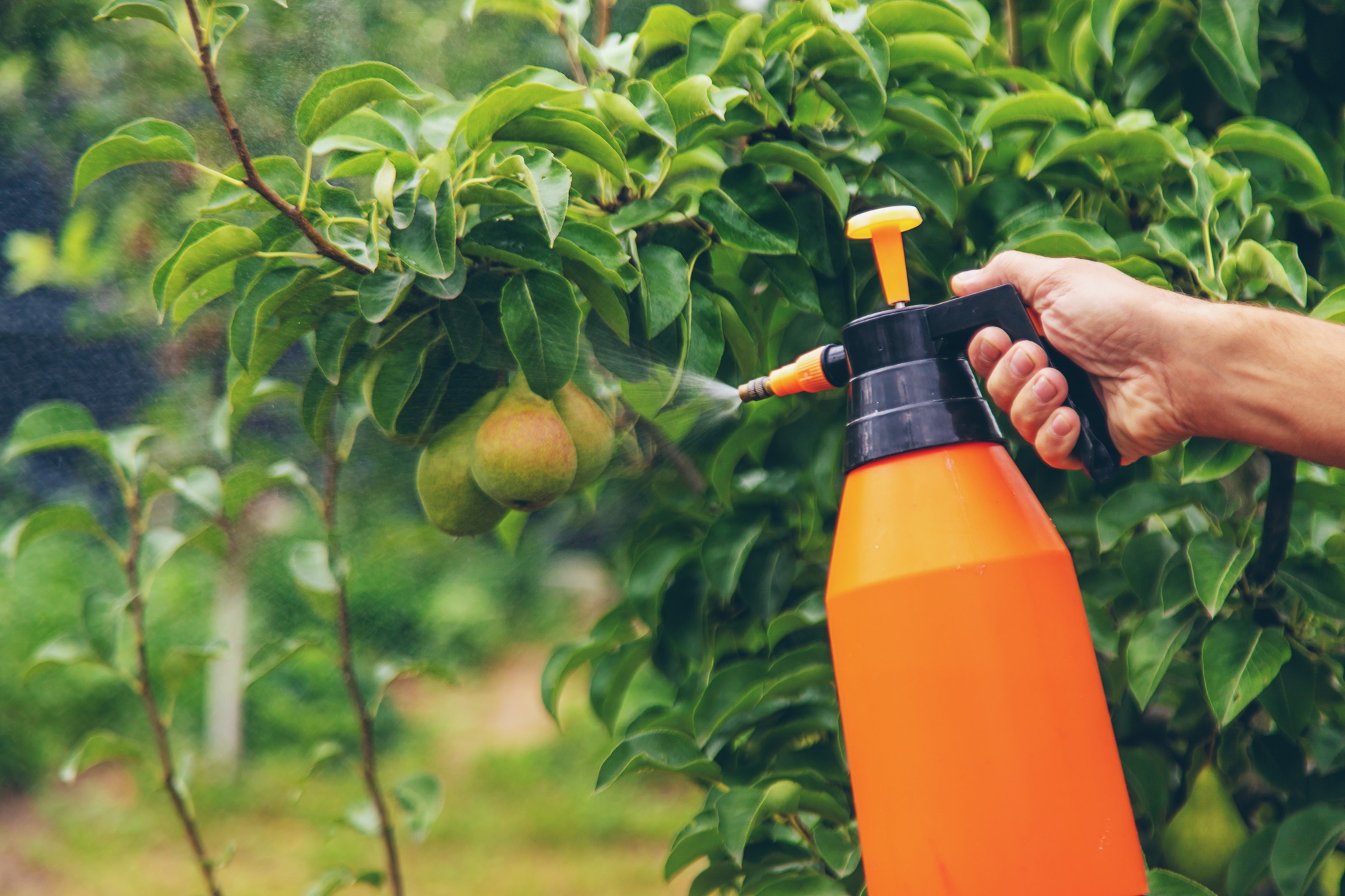 roundup pour 5l d'eau