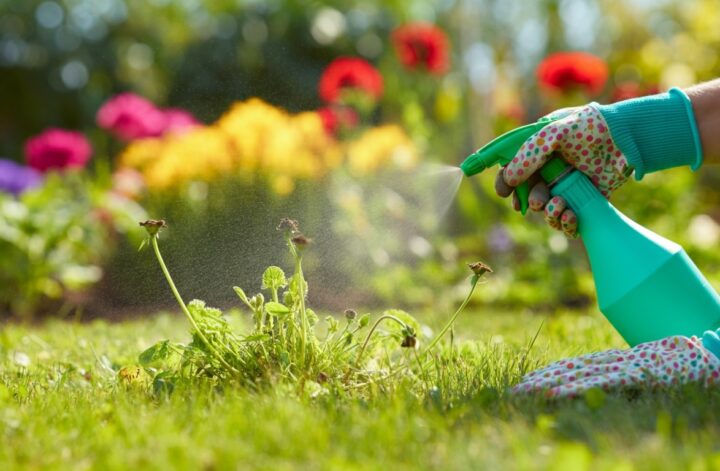 roundup agricole