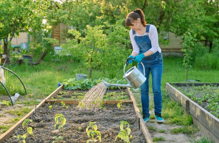 cultiver des aliments