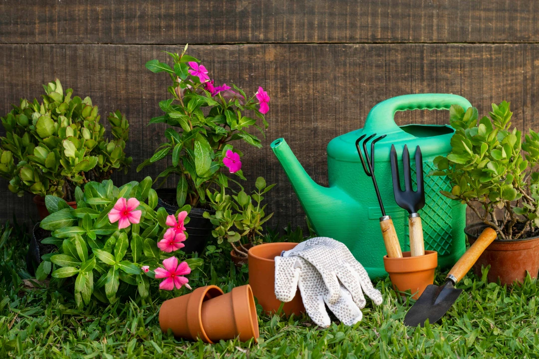Créer un coin ombragé naturel dans son jardin