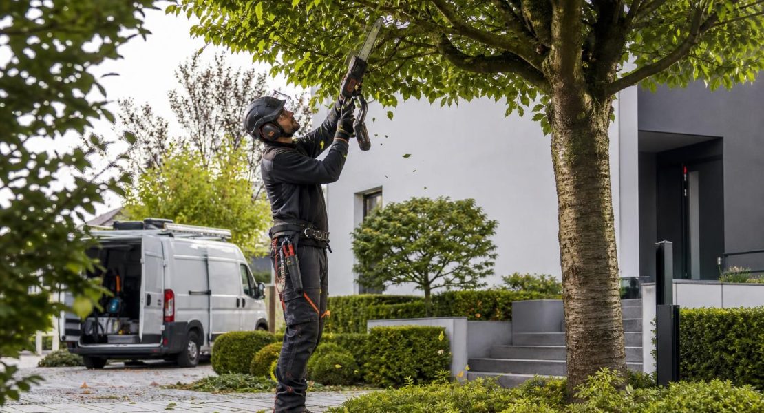 découvrez comment les travaux d'élagage peuvent être déductibles de vos impôts en 2026. guide complet pour optimiser vos dépenses et bénéficier des avantages fiscaux.