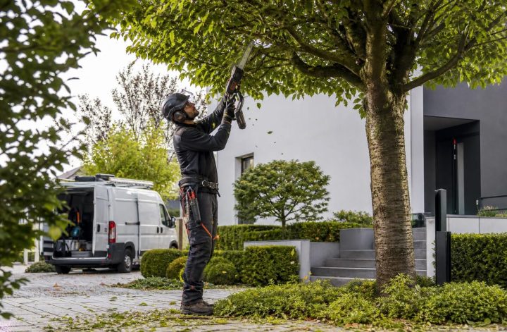 découvrez comment les travaux d'élagage peuvent être déductibles de vos impôts en 2026. guide complet pour optimiser vos dépenses et bénéficier des avantages fiscaux.
