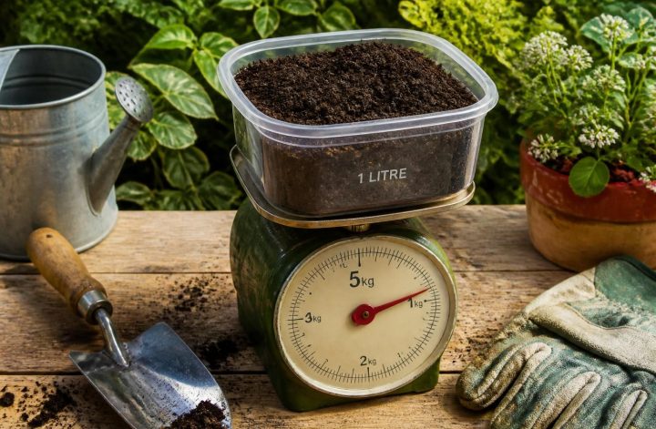 découvrez la conversion exacte de 1 litre de terreau en kilogrammes et comprenez la densité pour optimiser vos plantations. guide essentiel pour les passionnés de jardinage.
